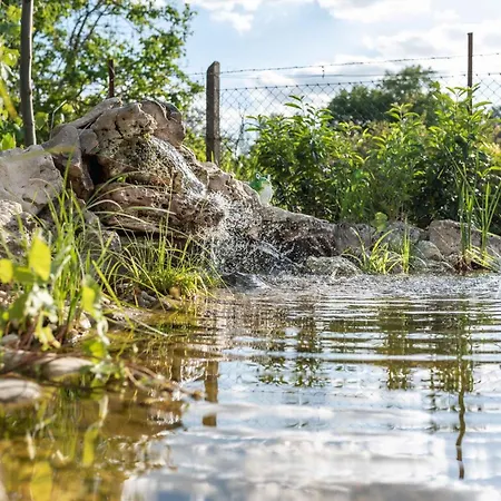 In - Balaton 19020 * Keszthely